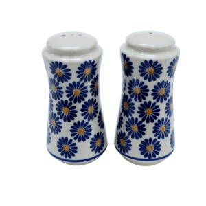 Salt and pepper shakers (A16 D41)