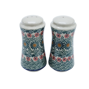 Salt and pepper shakers (A16 D48)