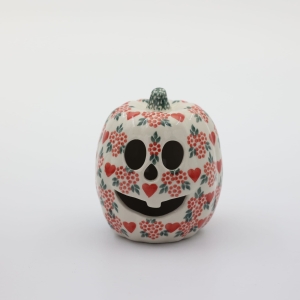 Small pumpkin Big Brother (A446 D88)        